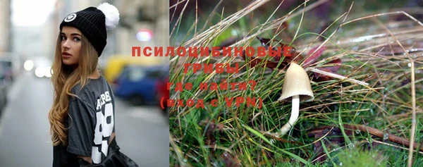 прущие крисы Кукмор