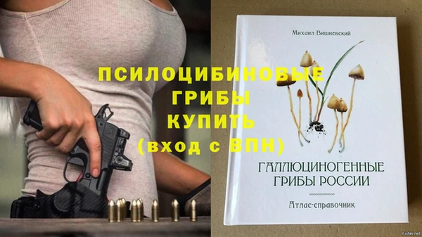 apvp Кулебаки